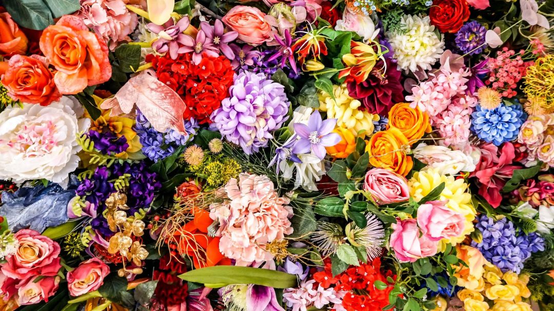 The Meaning Behind Popular Flower Colors
