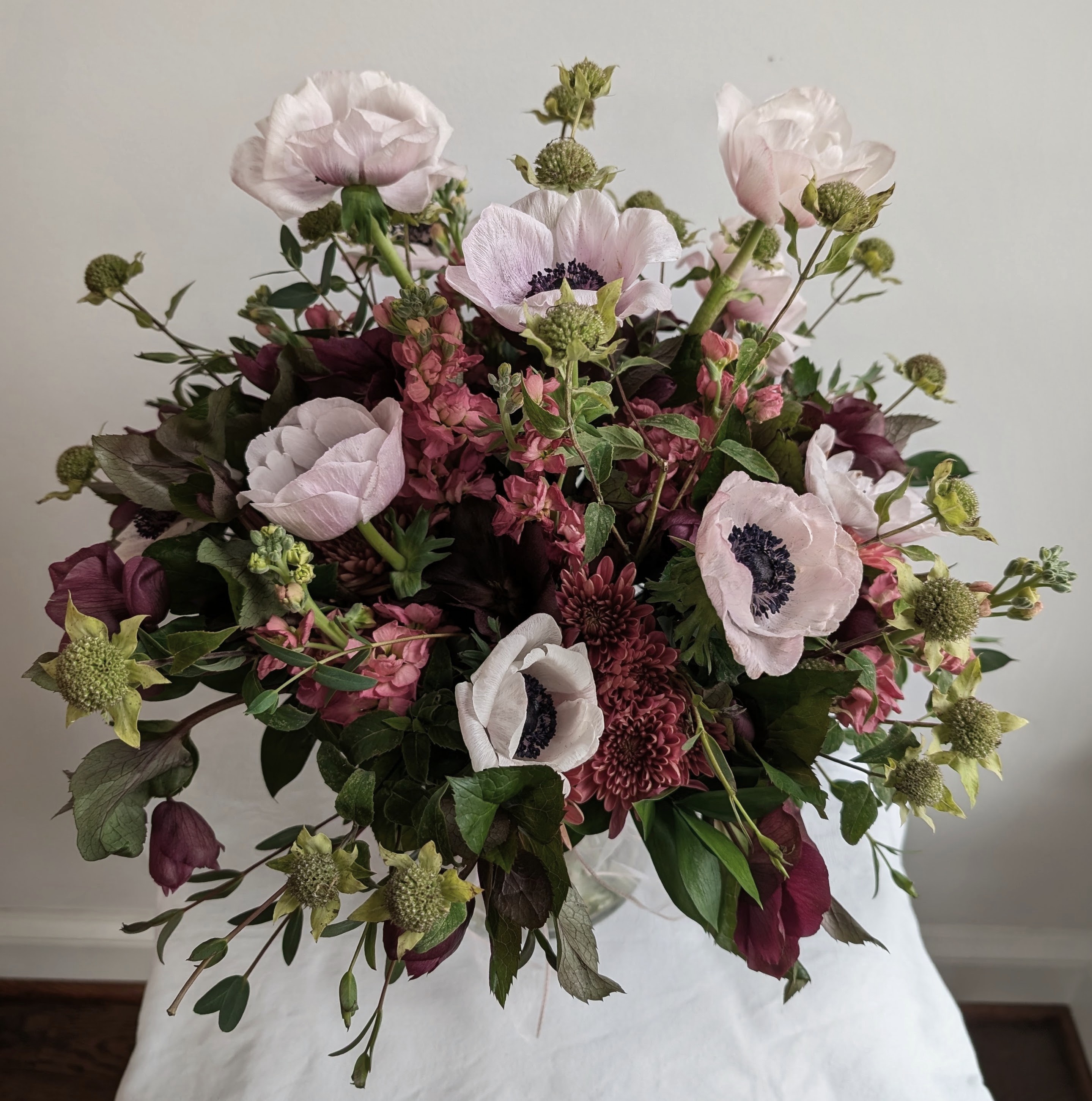 Helleborus & Anemones