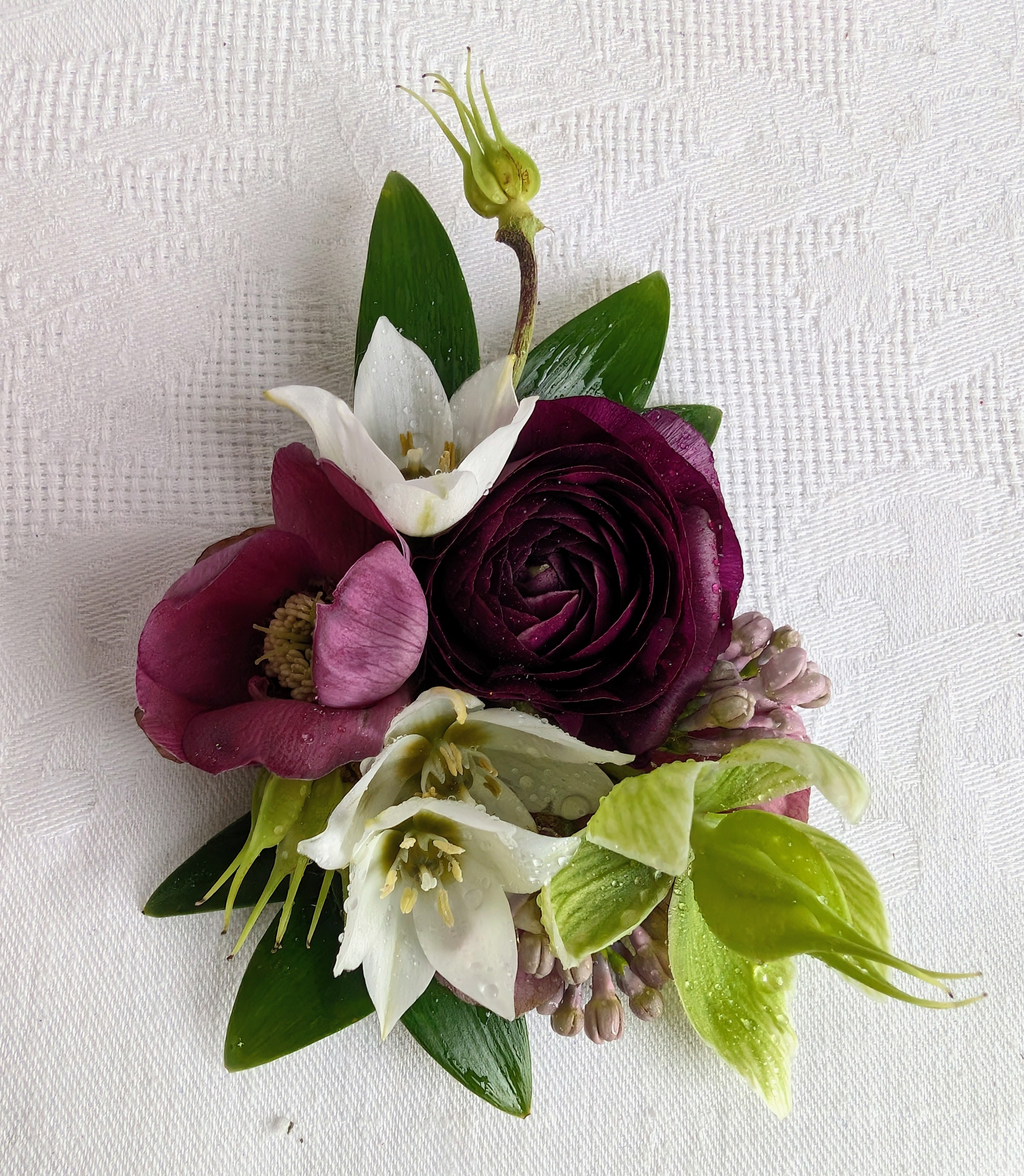 Plum Ranunculus & Helleborus Boutonniere